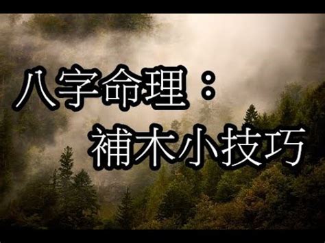 屬木缺什麼|【缺木怎麼補】五行缺木！必看！快速補足五行木屬的補救招數